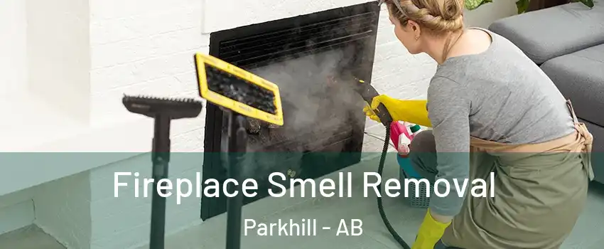 Fireplace Smell Removal Parkhill - AB