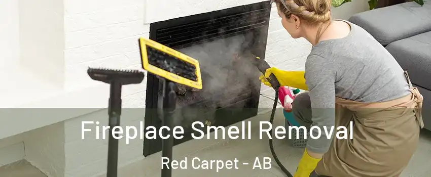 Fireplace Smell Removal Red Carpet - AB