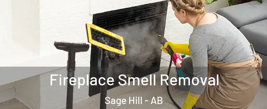  Fireplace Smell Removal Sage Hill - AB