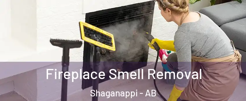  Fireplace Smell Removal Shaganappi - AB