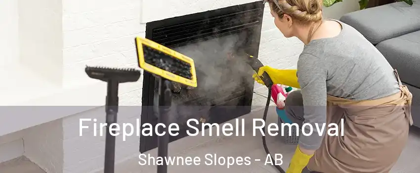  Fireplace Smell Removal Shawnee Slopes - AB