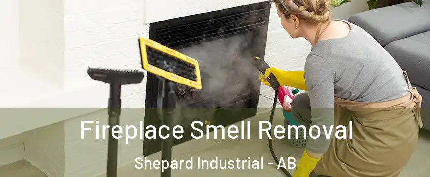  Fireplace Smell Removal Shepard Industrial - AB