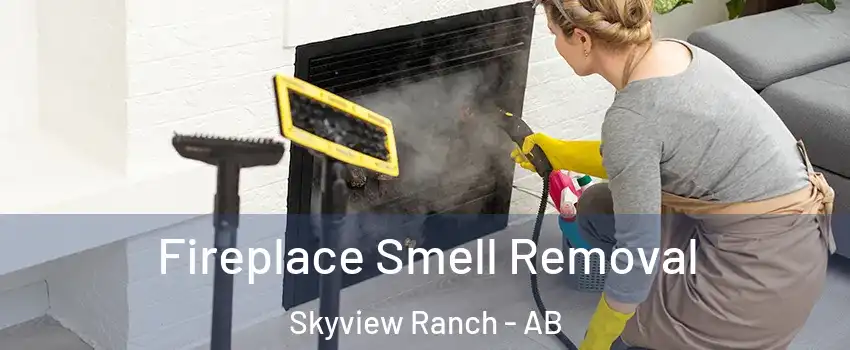  Fireplace Smell Removal Skyview Ranch - AB