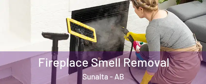  Fireplace Smell Removal Sunalta - AB