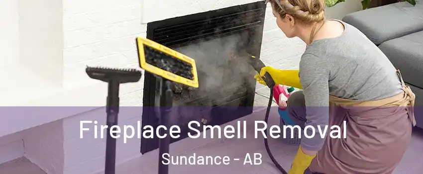  Fireplace Smell Removal Sundance - AB