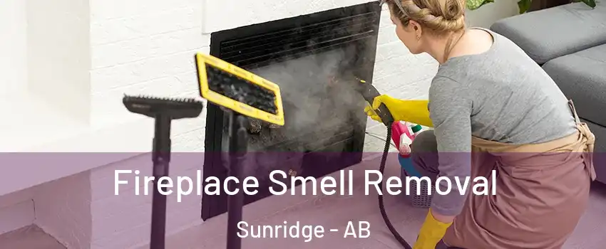  Fireplace Smell Removal Sunridge - AB