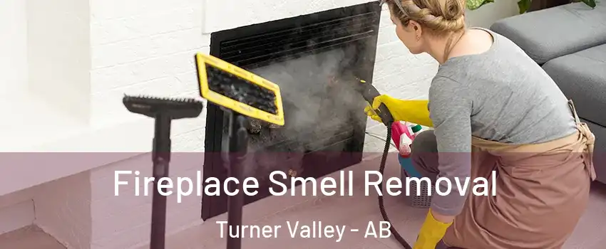  Fireplace Smell Removal Turner Valley - AB