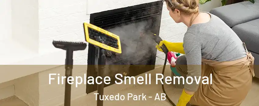  Fireplace Smell Removal Tuxedo Park - AB