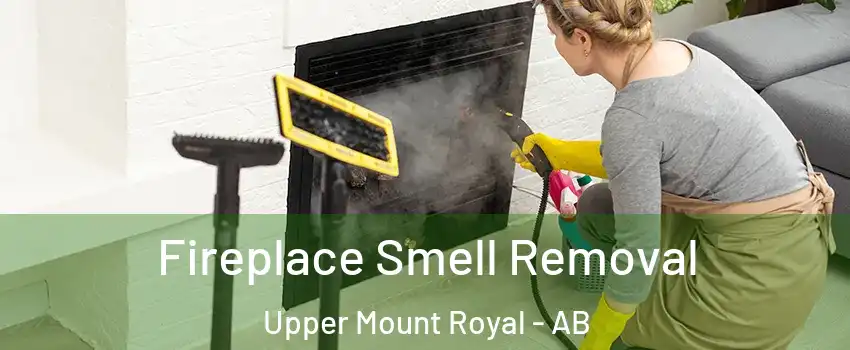  Fireplace Smell Removal Upper Mount Royal - AB
