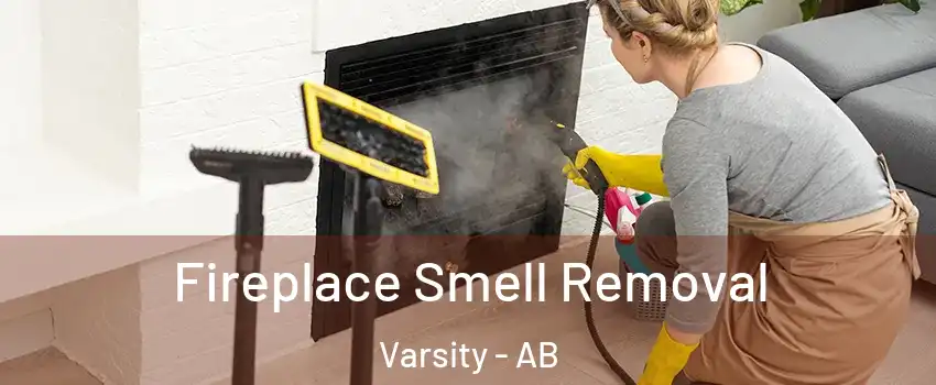  Fireplace Smell Removal Varsity - AB