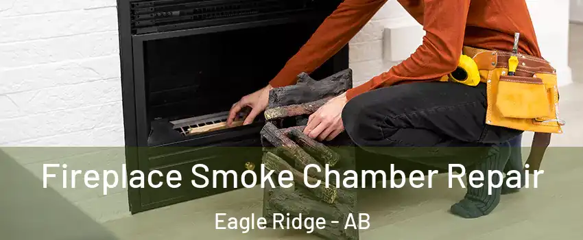  Fireplace Smoke Chamber Repair Eagle Ridge - AB