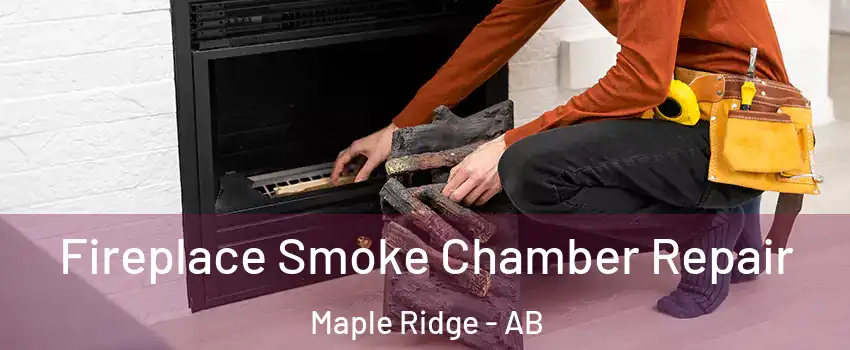  Fireplace Smoke Chamber Repair Maple Ridge - AB