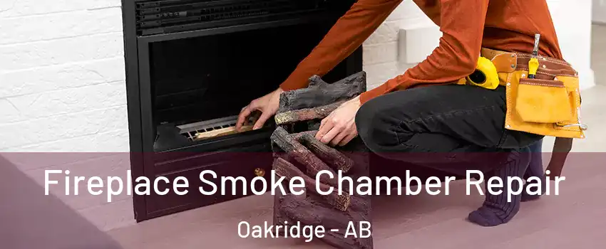  Fireplace Smoke Chamber Repair Oakridge - AB