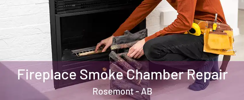  Fireplace Smoke Chamber Repair Rosemont - AB