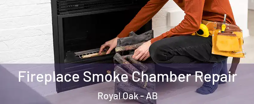  Fireplace Smoke Chamber Repair Royal Oak - AB