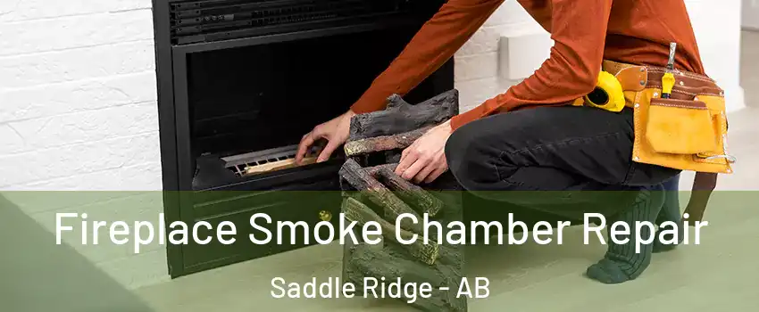  Fireplace Smoke Chamber Repair Saddle Ridge - AB