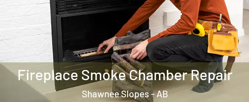  Fireplace Smoke Chamber Repair Shawnee Slopes - AB