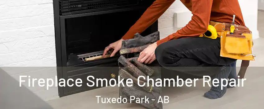  Fireplace Smoke Chamber Repair Tuxedo Park - AB