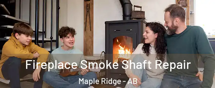  Fireplace Smoke Shaft Repair Maple Ridge - AB