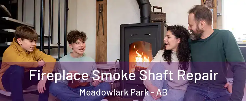  Fireplace Smoke Shaft Repair Meadowlark Park - AB