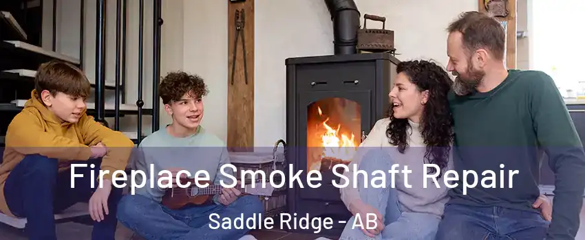  Fireplace Smoke Shaft Repair Saddle Ridge - AB