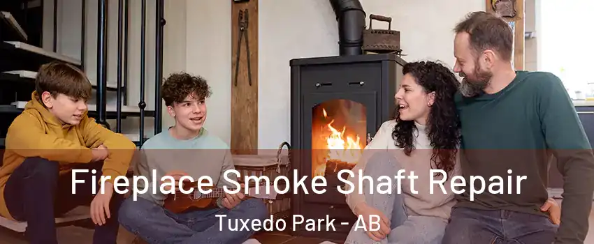  Fireplace Smoke Shaft Repair Tuxedo Park - AB
