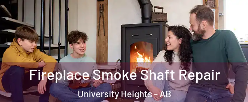  Fireplace Smoke Shaft Repair University Heights - AB