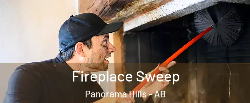  Fireplace Sweep Panorama Hills - AB