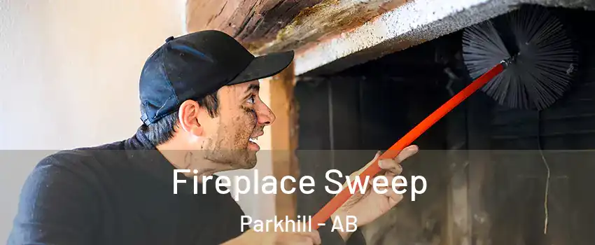  Fireplace Sweep Parkhill - AB