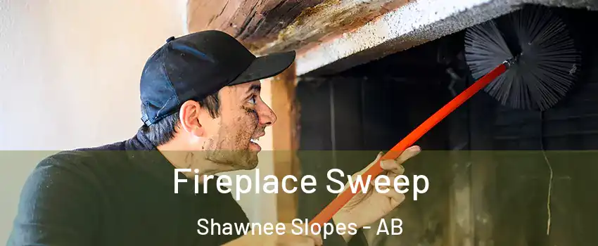  Fireplace Sweep Shawnee Slopes - AB