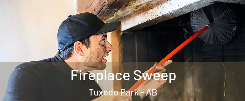  Fireplace Sweep Tuxedo Park - AB