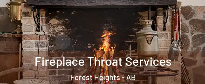  Fireplace Throat Services Forest Heights - AB