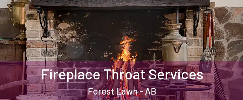  Fireplace Throat Services Forest Lawn - AB