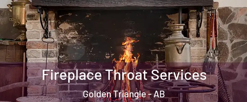 Fireplace Throat Services Golden Triangle - AB