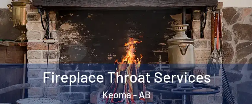  Fireplace Throat Services Keoma - AB