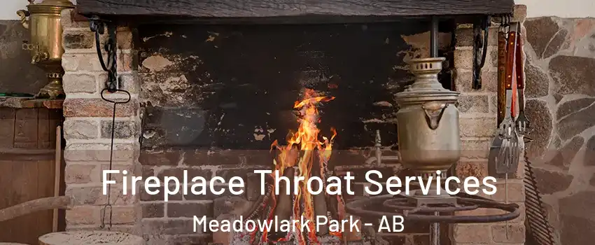  Fireplace Throat Services Meadowlark Park - AB