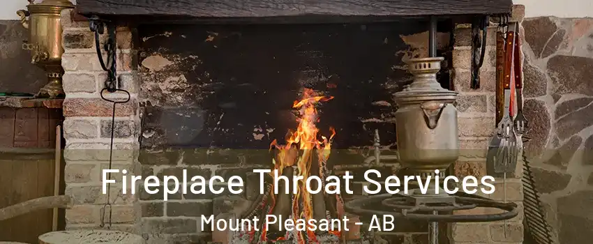  Fireplace Throat Services Mount Pleasant - AB
