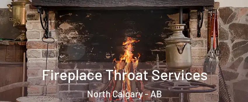  Fireplace Throat Services North Calgary - AB