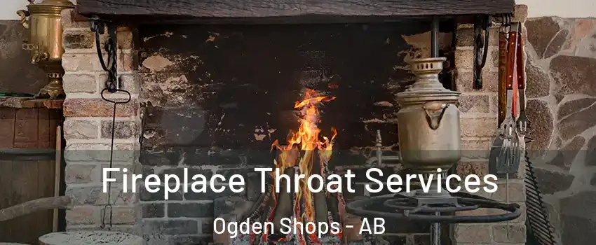  Fireplace Throat Services Ogden Shops - AB