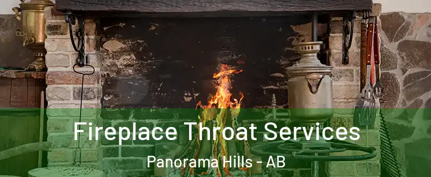  Fireplace Throat Services Panorama Hills - AB