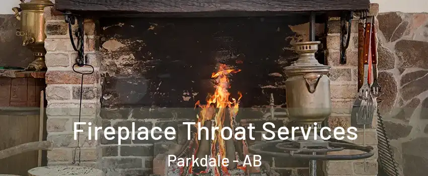 Fireplace Throat Services Parkdale - AB