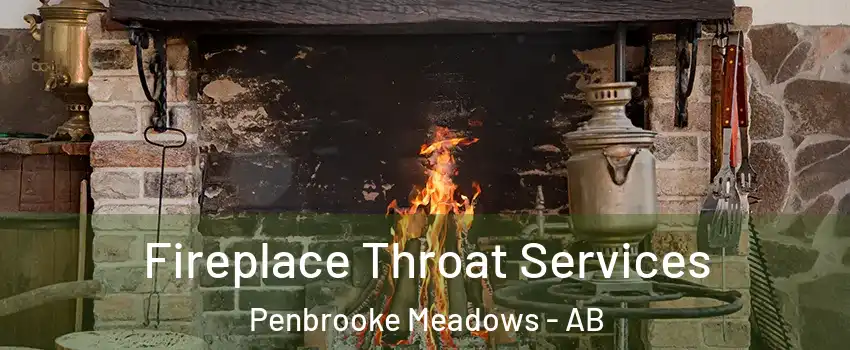  Fireplace Throat Services Penbrooke Meadows - AB