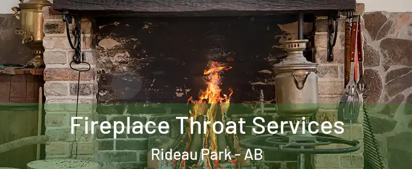  Fireplace Throat Services Rideau Park - AB
