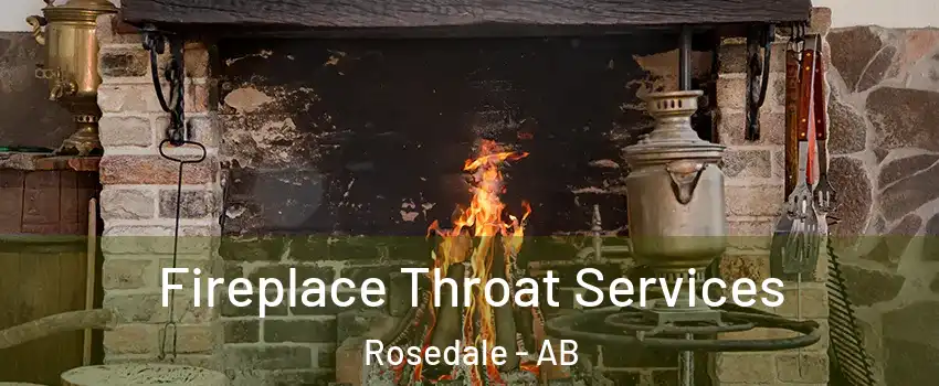  Fireplace Throat Services Rosedale - AB