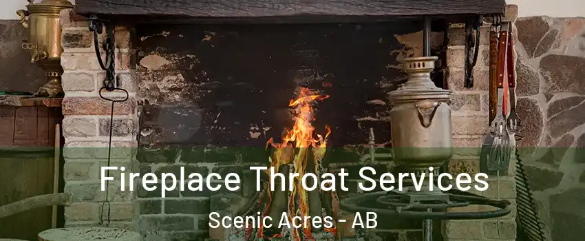  Fireplace Throat Services Scenic Acres - AB