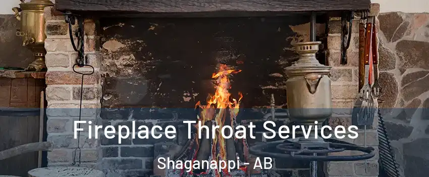  Fireplace Throat Services Shaganappi - AB