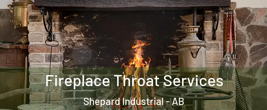  Fireplace Throat Services Shepard Industrial - AB