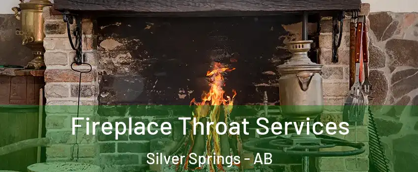  Fireplace Throat Services Silver Springs - AB