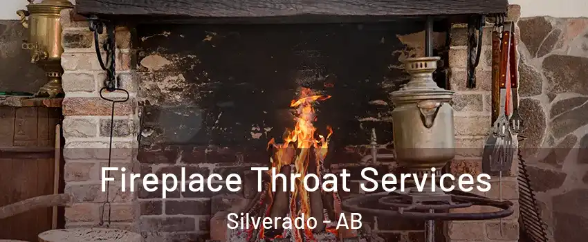  Fireplace Throat Services Silverado - AB