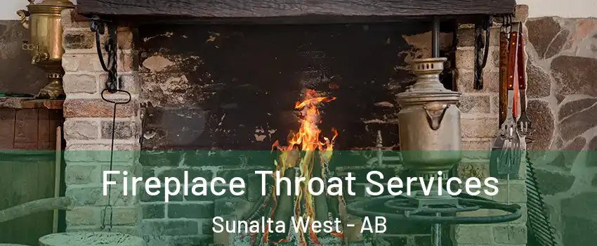  Fireplace Throat Services Sunalta West - AB